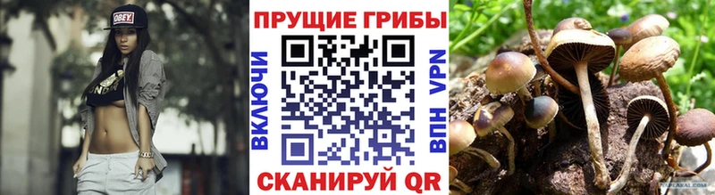 купить наркотики сайты  Мурино  OMG вход  Галлюциногенные грибы ЛСД 